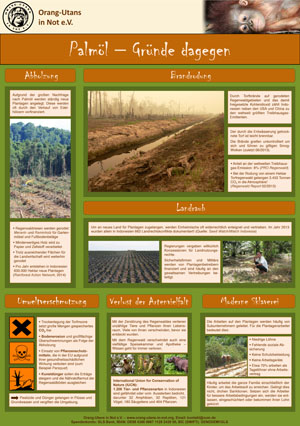 Poster zur Palmölproblematik