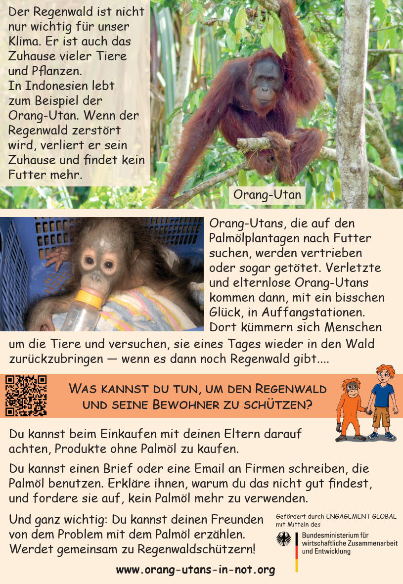 Flyer Palml Kinder Rckseite